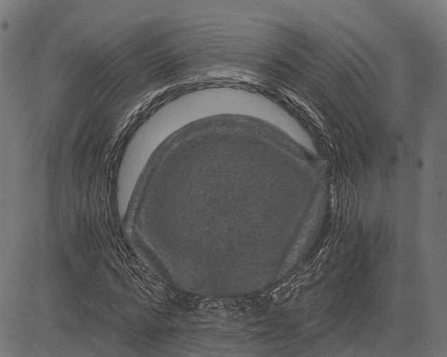 X0000084570776200703091810