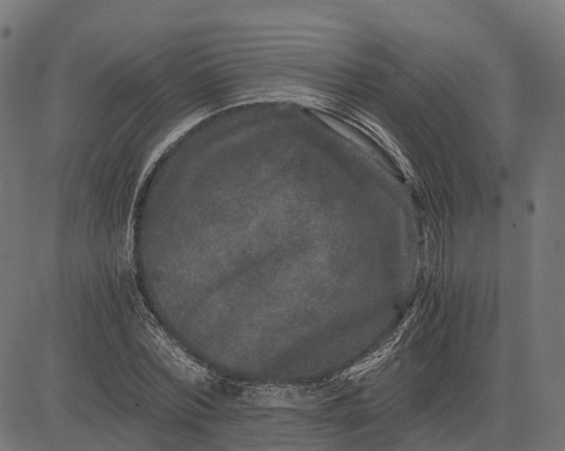 X0000084570780200703091810