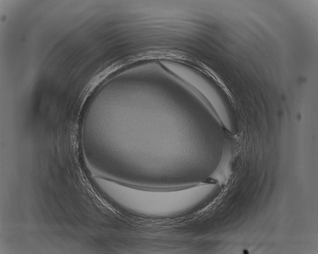 X0000084570786200703091810