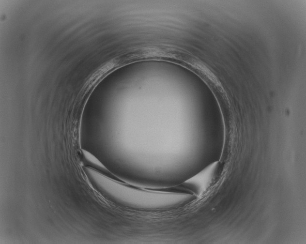 X0000084570793200703091810