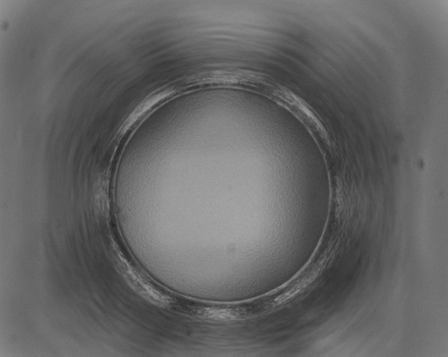 X0000084570794200703091810