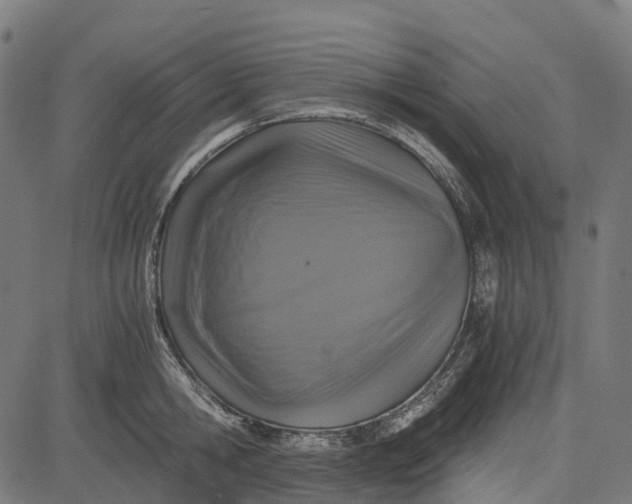 X0000084570806200703091809