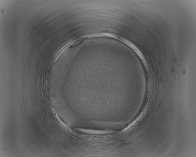 X0000084570809200703091809