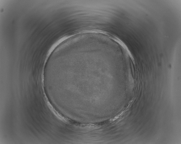 X0000084570811200703091809