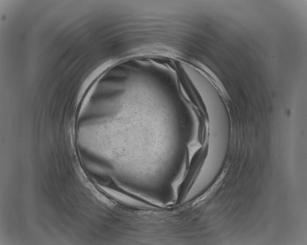 X0000084570812200703091809