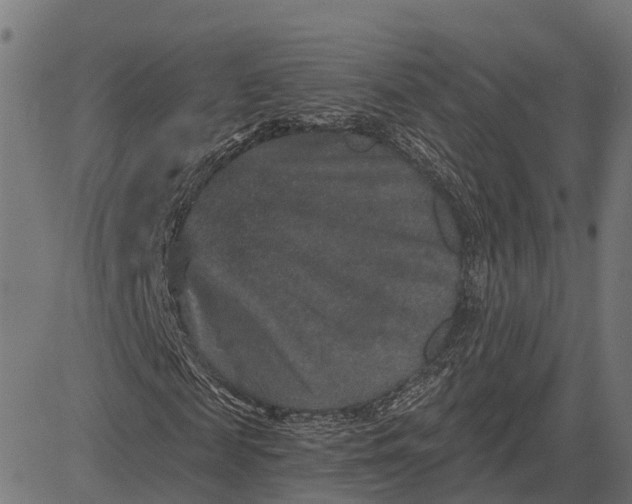 X0000084570817200703091808