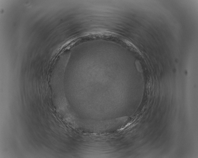 X0000084570822200703091808