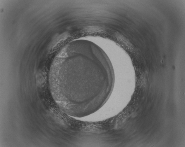X0000084570824200703091809