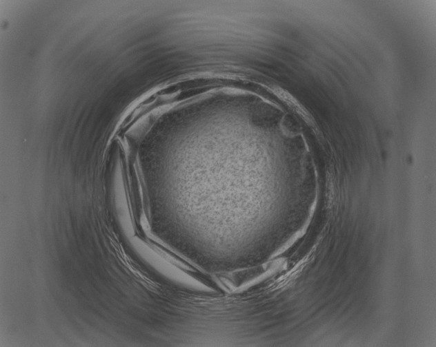 X0000084570830200703091809