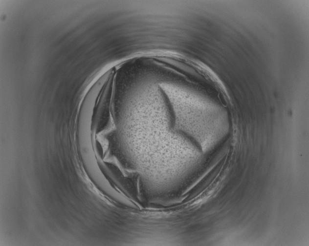 X0000084570860200703091809
