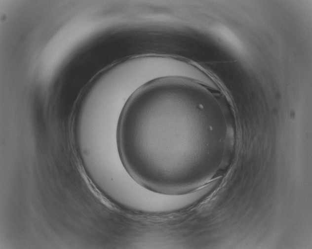 X0000084570862200703091809