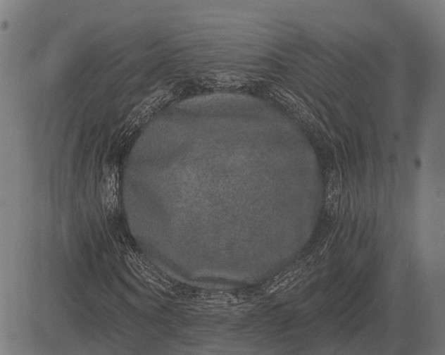X0000084570866200703091808