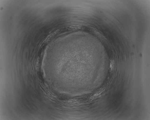 X0000084570867200703091808