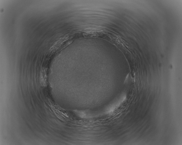 X0000084570868200703091808