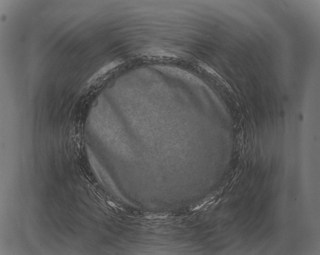 X0000084570870200703091808