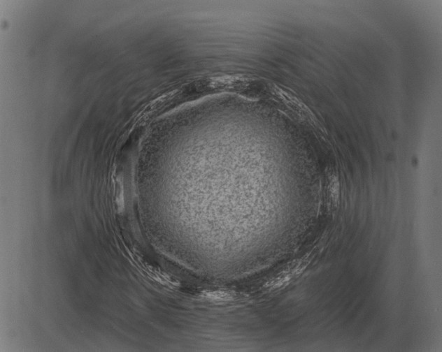 X0000084570914200703091807