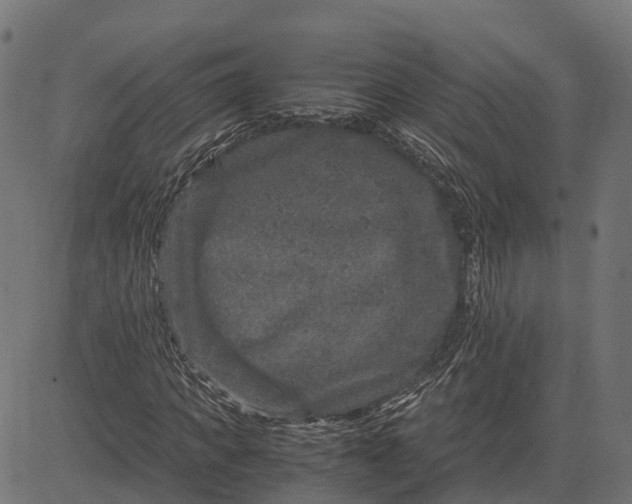 X0000084570917200703091807