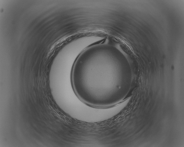 X0000084570920200703091807