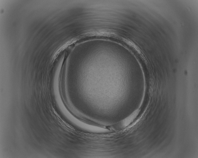 X0000084570922200703091807