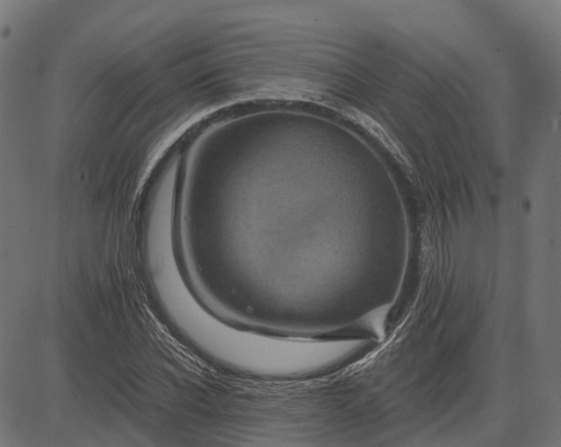 X0000084570926200703091807