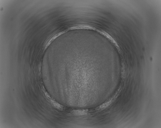 X0000084570937200703091807