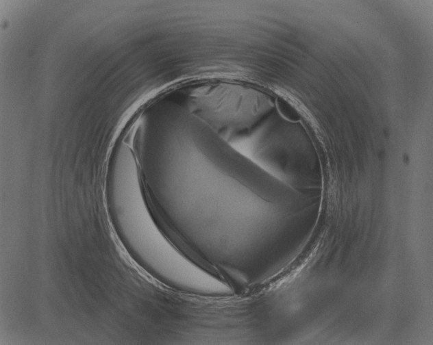 X0000084570941200703091807