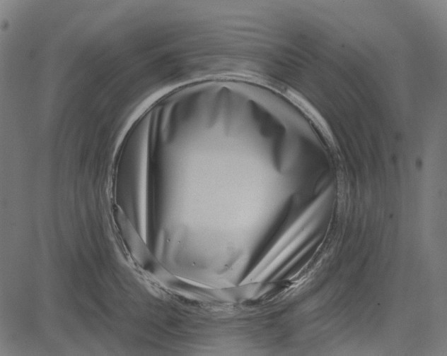 X0000084570956200703091808
