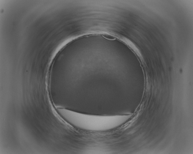 X0000084570958200703091808