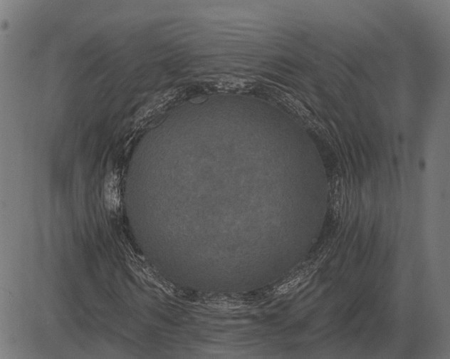 X0000084570962200703091807