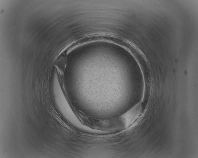 X0000084570969200703091807