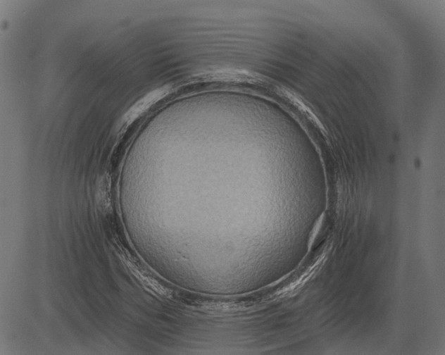 X0000084570970200703091807