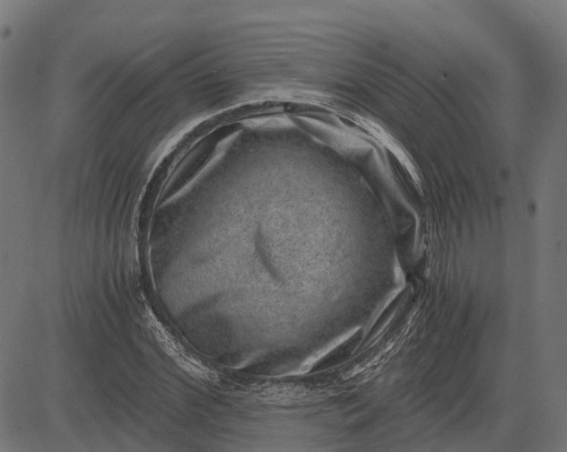 X0000084570972200703091807