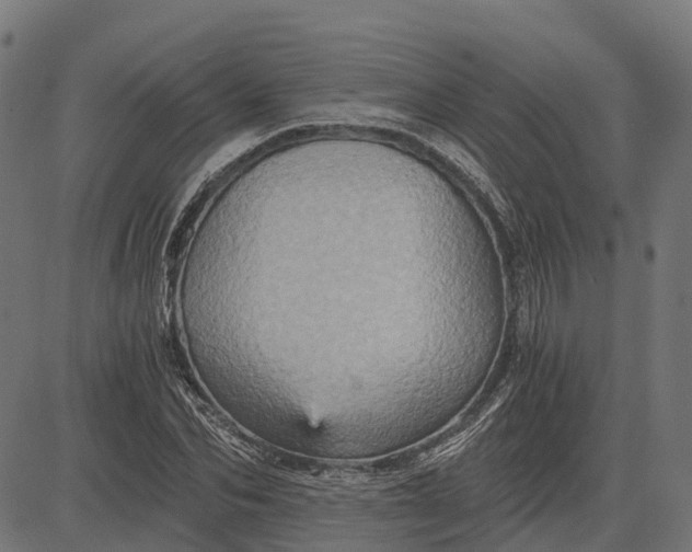 X0000084570974200703091807