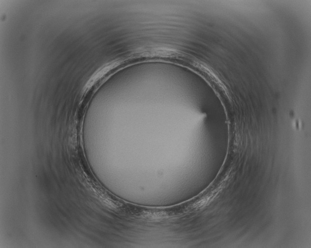 X0000084570978200703091807