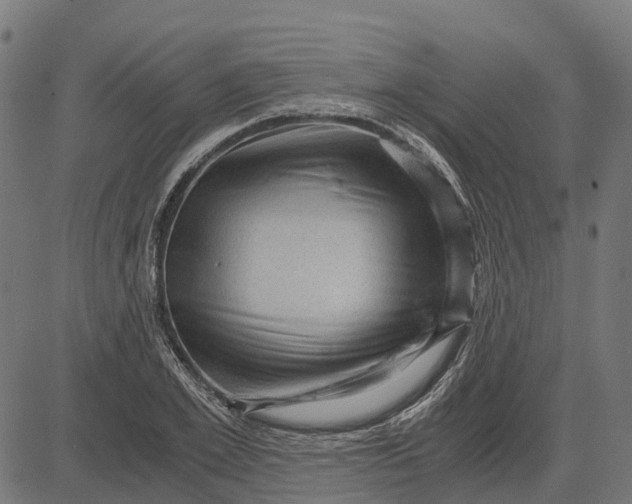 X0000084570981200703091806