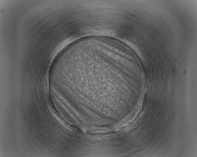 X0000084570982200703091806
