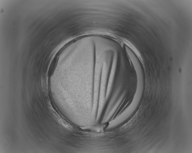 X0000084570996200703091806