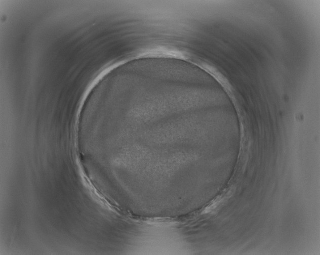 X0000084571008200703091806