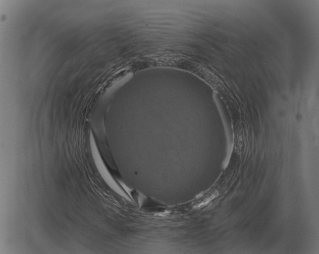 X0000084571010200703091805