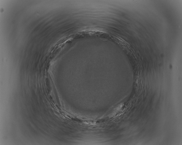 X0000084571014200703091805