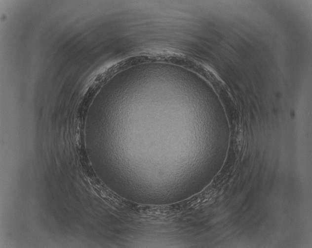 X0000084571016200703091805