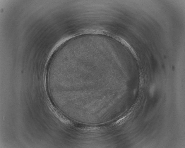 X0000084571035200703091806