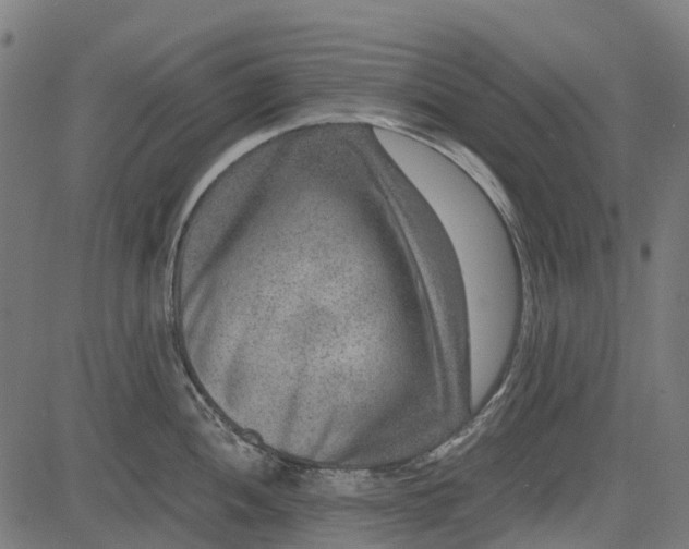 X0000084571052200703091806