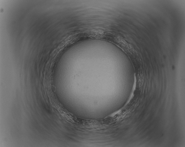 X0000084571057200703091805