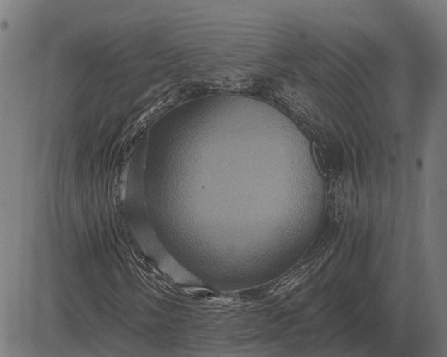 X0000084571058200703091805