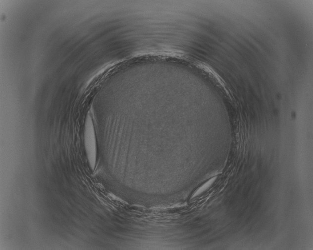 X0000084571064200703091805