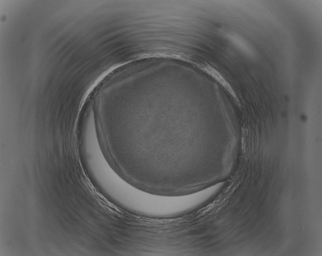 X0000084571068200703091805