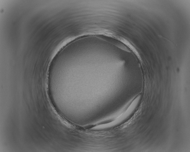 X0000084571093200703091805