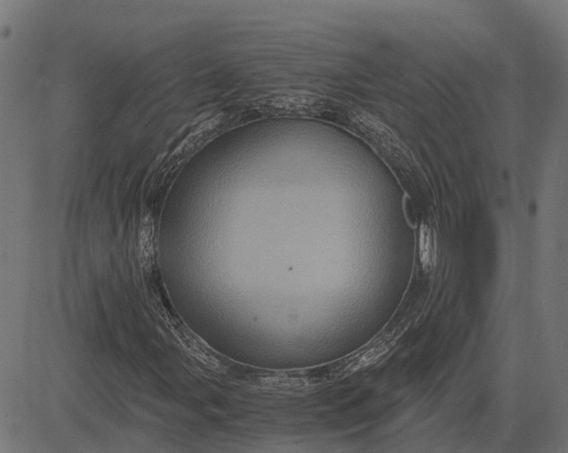 X0000084571107200703091804