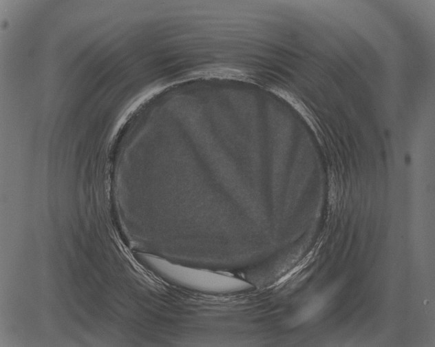 X0000084571115200703091804